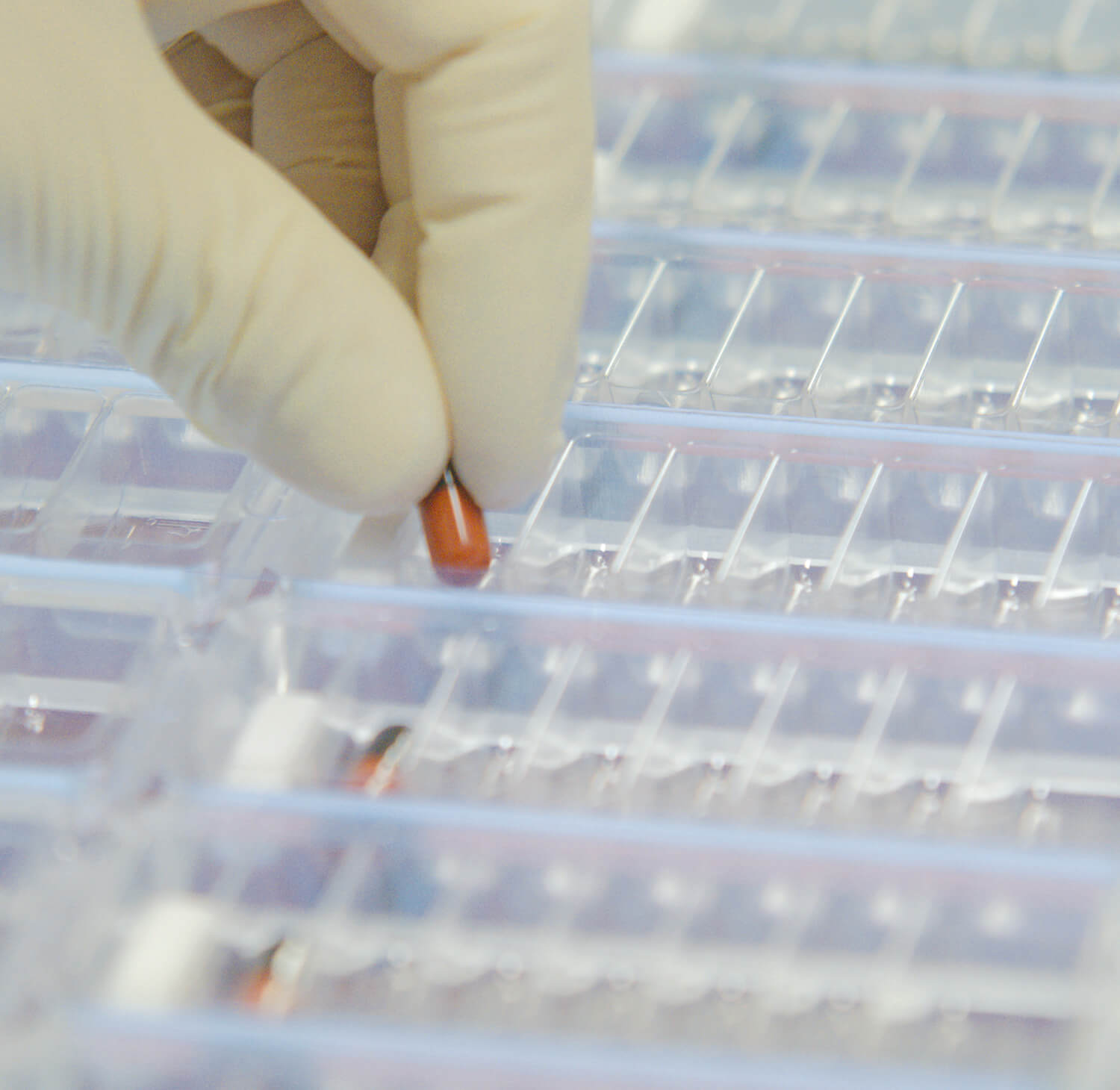 Leader français de la Préparation des Doses à Administrer